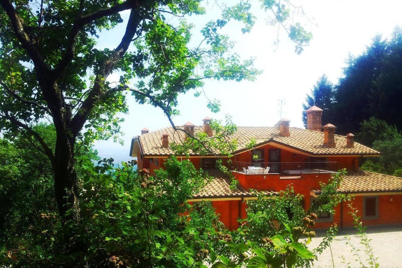 Agriturismo Il Falco Velletri Zewnętrze zdjęcie